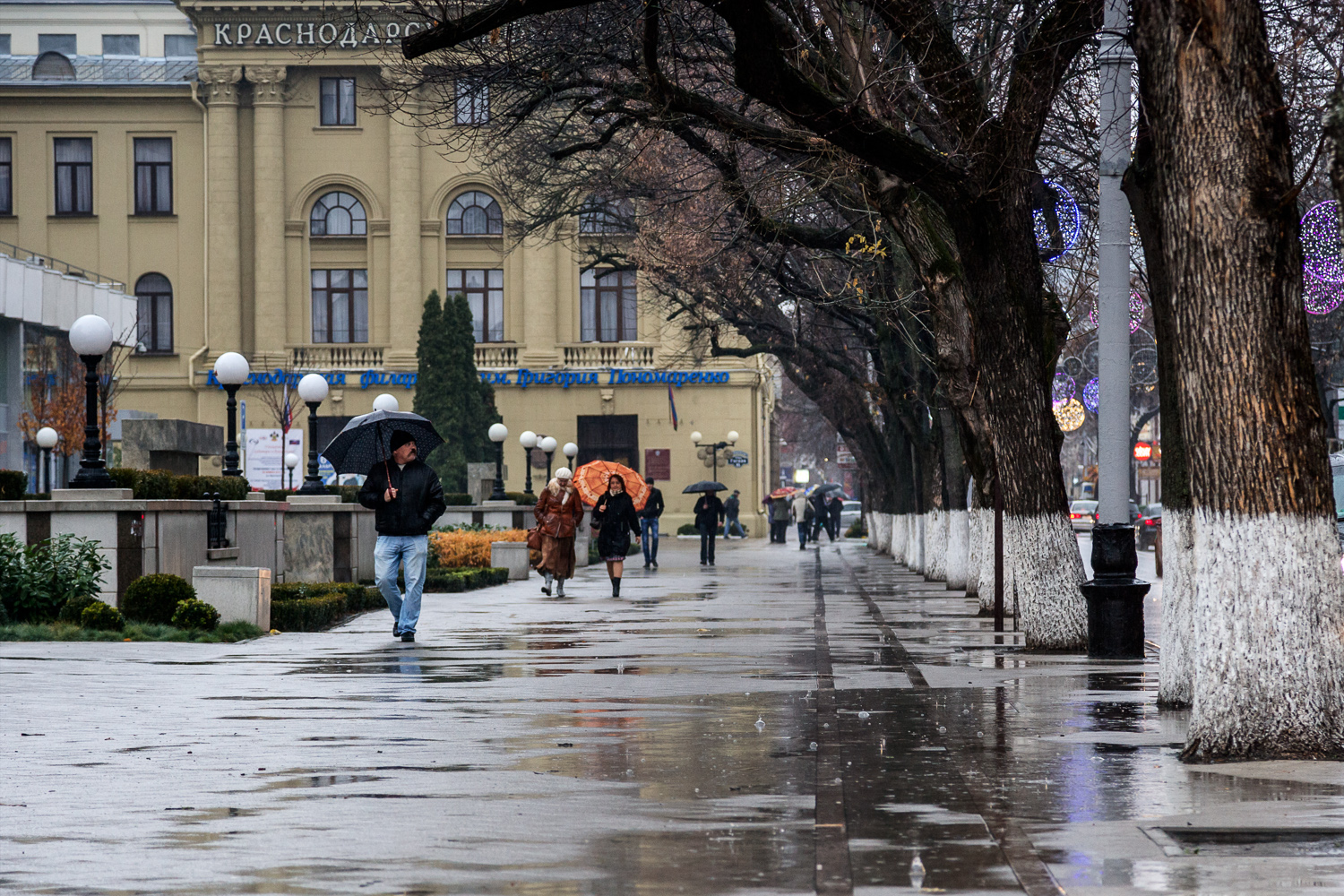 Дождь Краснодар зима